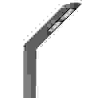 BIZON